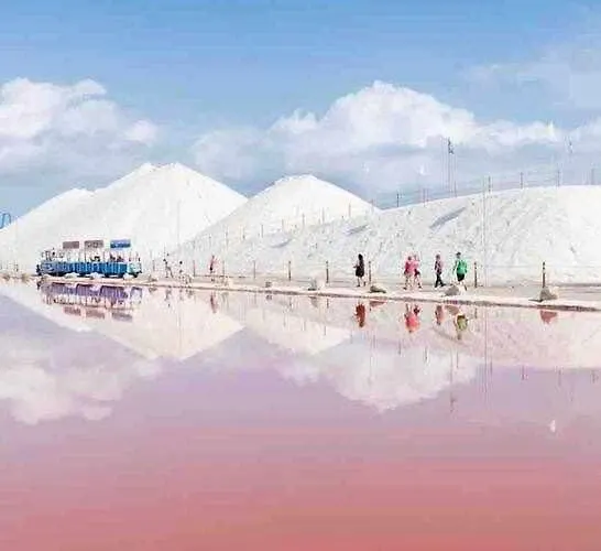 Pink Salt