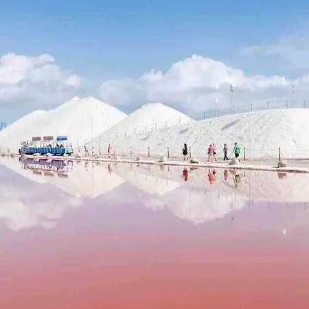 Pink Salt - Winter By The Sea